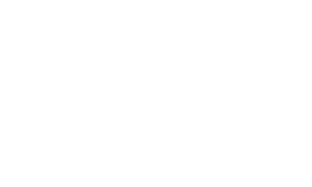 Hassle Free Solutions Logo (1)